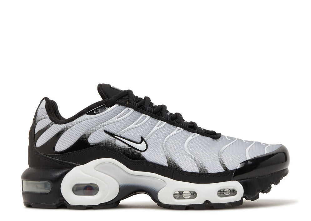 Nike Air Max Plus GS Black Metallic Silver