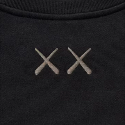 KAWS X UNIQLO COMPANION TEE