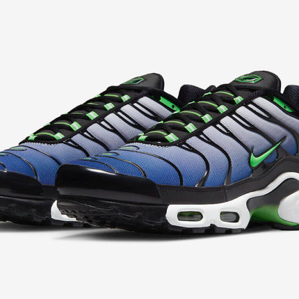 Nike Air Max Plus Icons