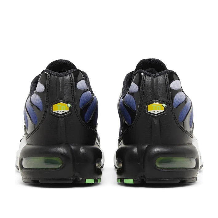 Nike Air Max Plus Icons