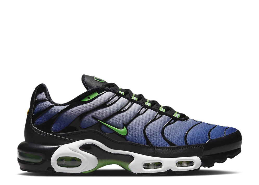 Nike Air Max Plus Icons